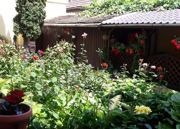 Casa Ioana